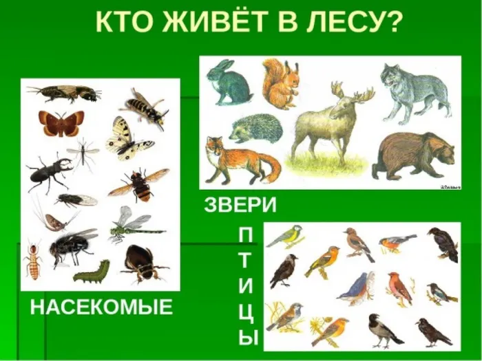 132