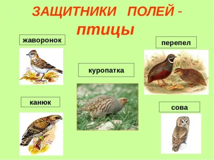 213