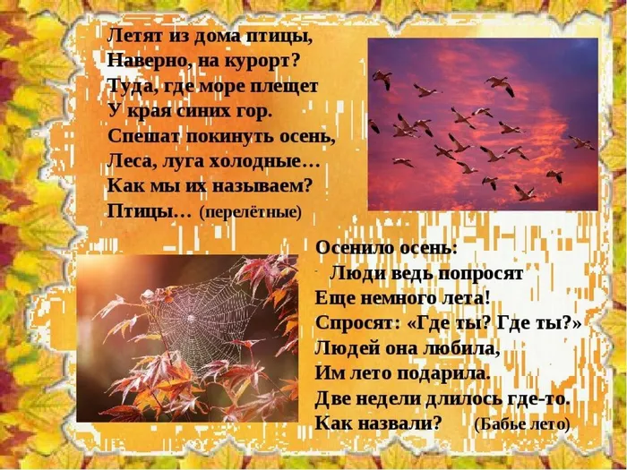 4. (1)