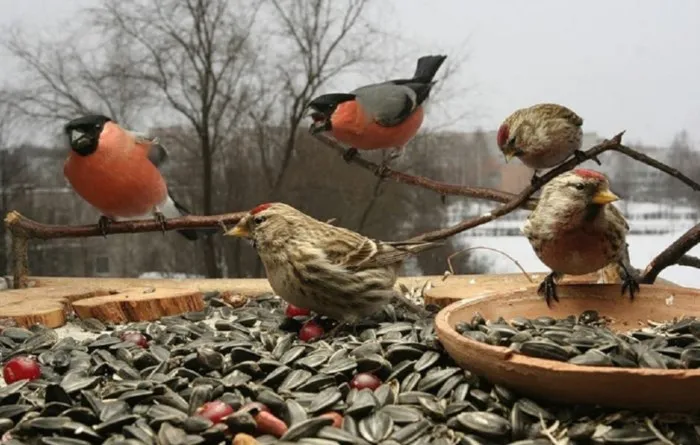 5013b31c-6150-44c5-bd97-e3294fd1b80e-700x445