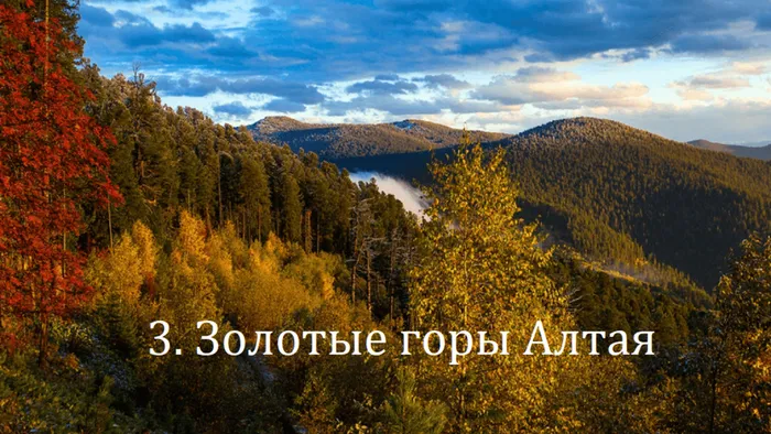 3. Золотые горы Алтая