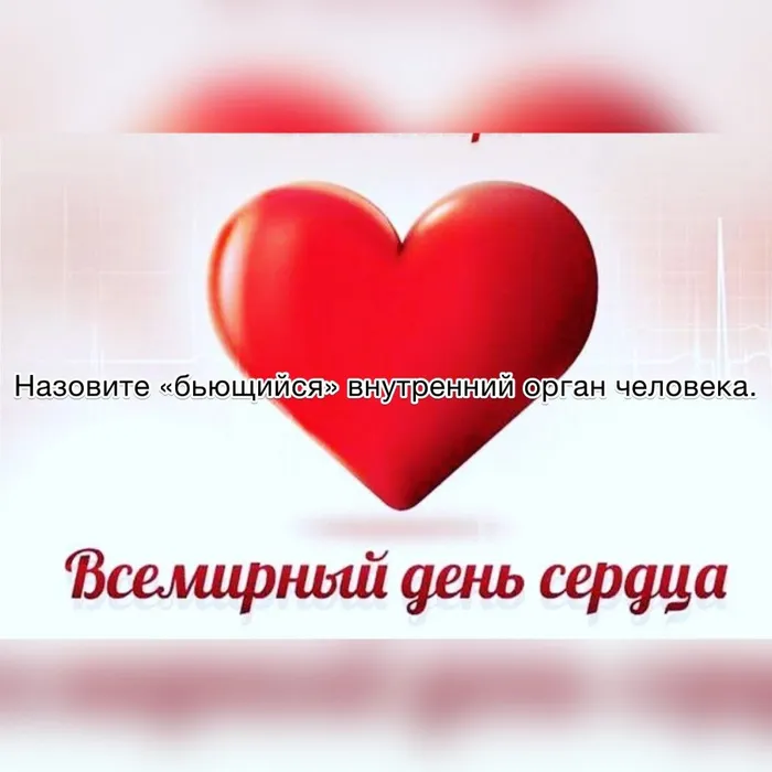 image-29-09-20-01-36-5