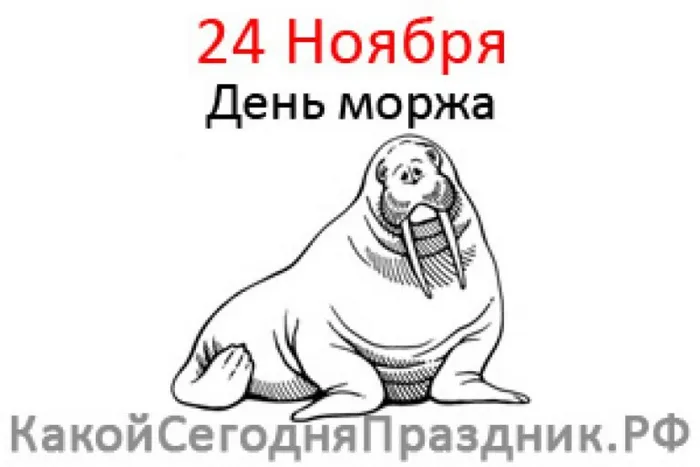 den-morzha-768x512день моржа