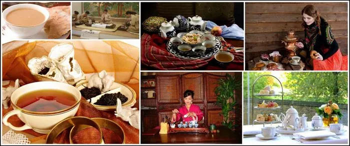 Poslednie-obnovlennyie474