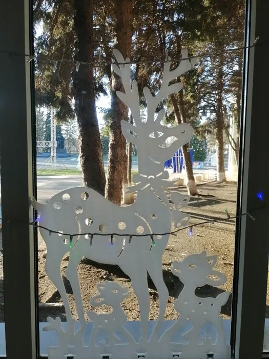 WhatsApp Image 2020-12-29 at 09.58.05