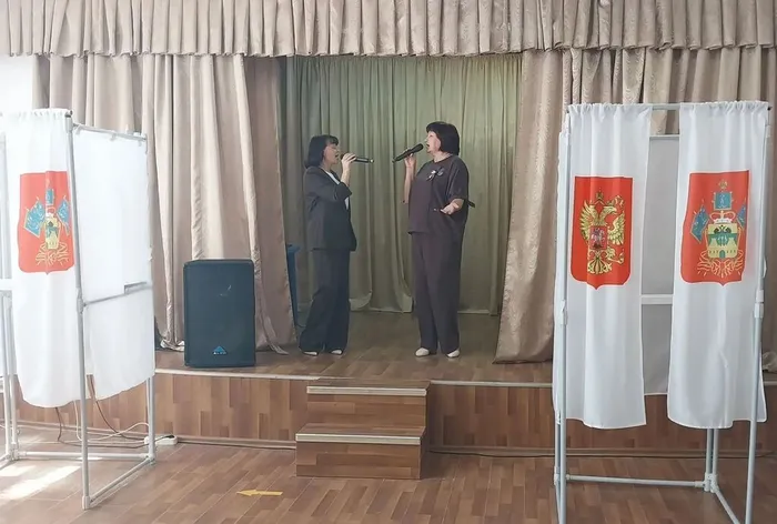 выборы